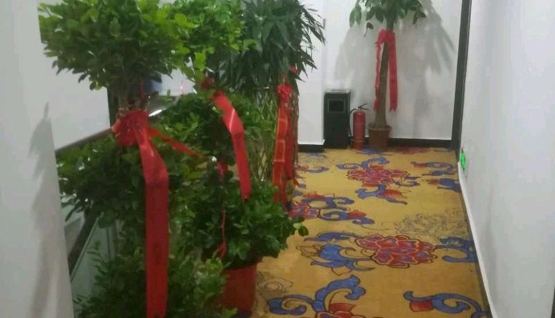 Zewnętrzna część hotelu - Jinhua Hotel