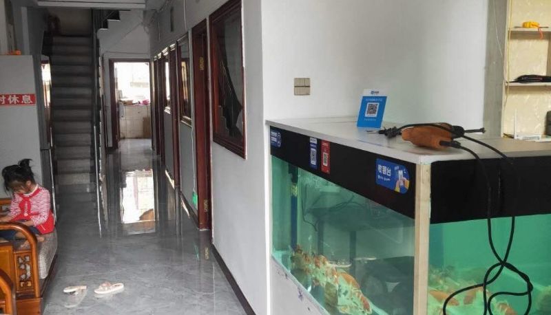 Area esterna dell'hotel - Wuchang Renhe Hotel