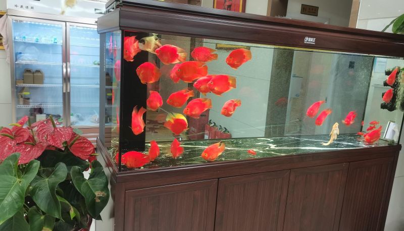 Hotel outdoor area - Xinxin Yiran Hotel