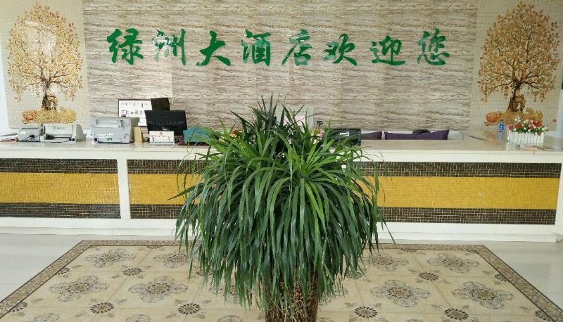 Area esterna dell'hotel - the oasis hotel