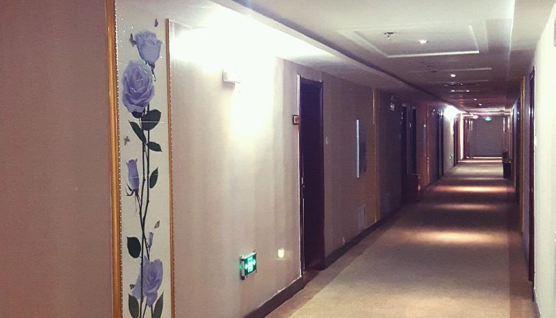 Area esterna dell'hotel - the oasis hotel