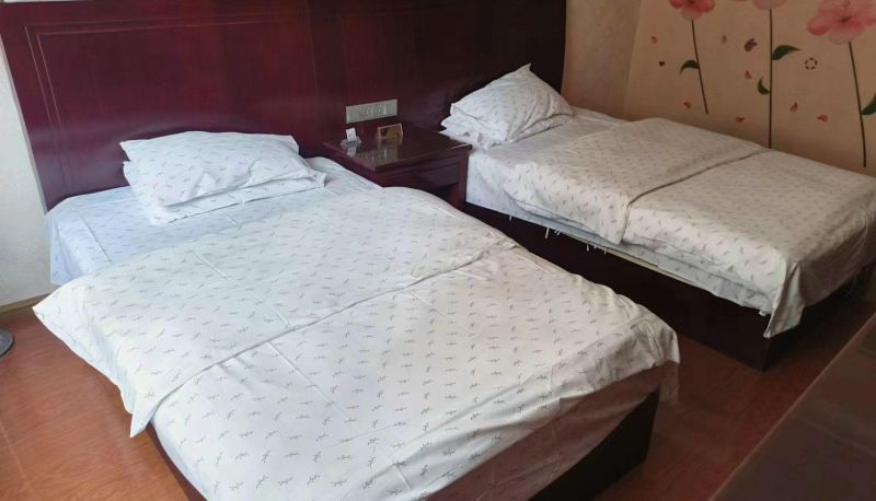 Pokój - Blue Star Hotel