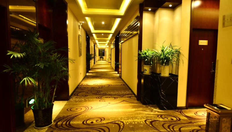 Zewnętrzna część hotelu - Changyou Hotel
