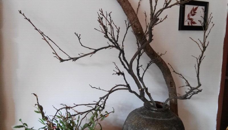 Hotel Außenbreich - Xiangnadu Yueju