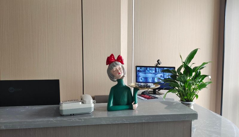 Zewnętrzna część hotelu - Haoyi Hotel (Bubu High tech Times Square Store)