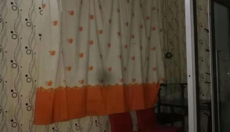 Camera - Dolphin Bay Hotel