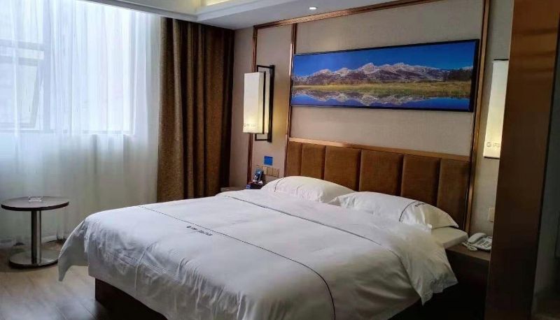 Zimmer - Wharton Chain Hotel (Ma Shan Branch)