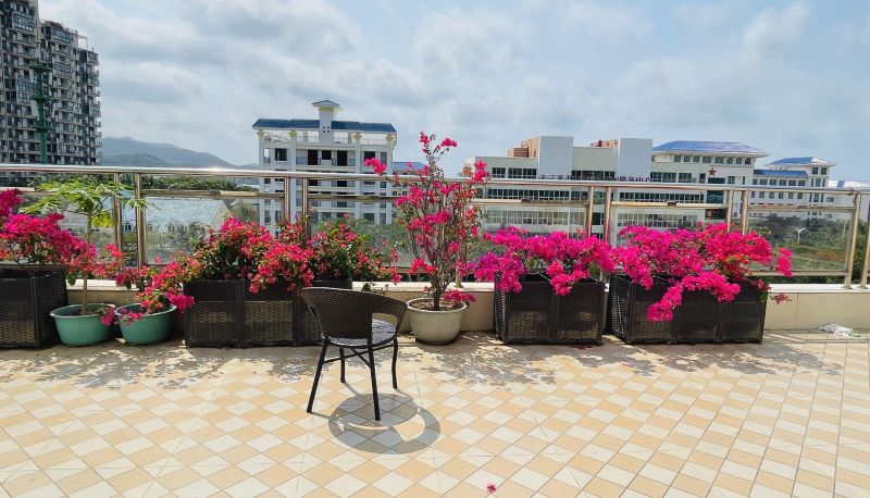 Area esterna dell'hotel - Wang Lijuan Hotel (Sanya Fenghuangling Sea Oath Mountain Alliance Scenic Area Branch)