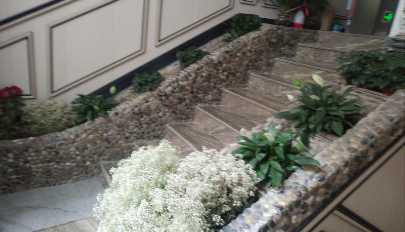 Hotel outdoor area - Futeng Hotel (Cancer Hospital Store)