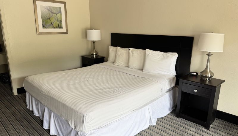 Habitación - Hotel Francis