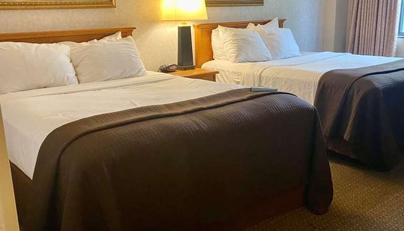 Chambre - Best Western Plus Kelly Inn