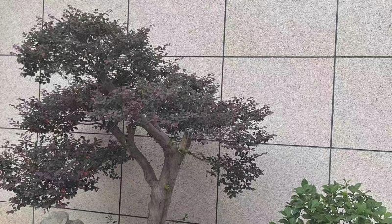 Hotel Außenbreich - Wuxi Jinxin Hotel