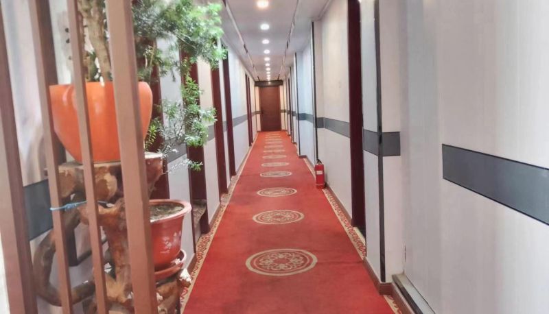 Zewnętrzna część hotelu - Liufu Hotel