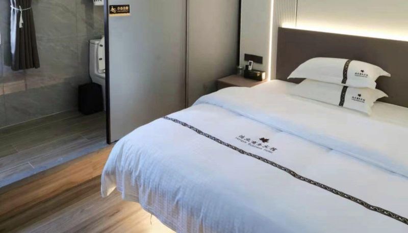 Camera - Hongye Business Hotel