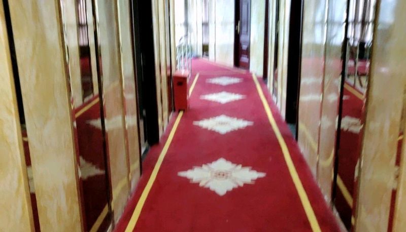 Area esterna dell'hotel - Green Leaf Hotel (Yongkang Road Branch)
