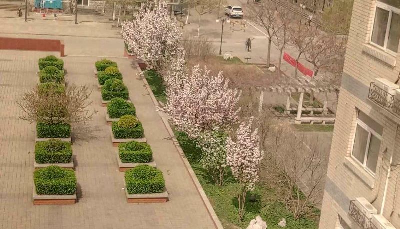 Area esterna dell'hotel - Shangjia Chain Hotel (Tianjin Guoxiang Branch)