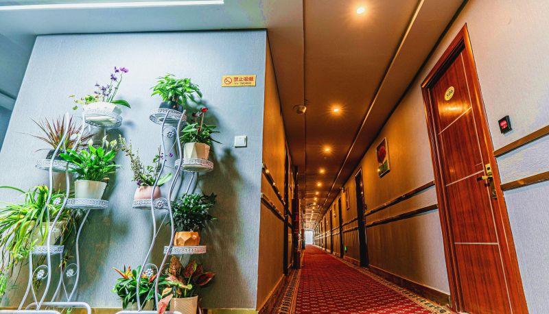 Area esterna dell'hotel - Shuxin Business Hotel