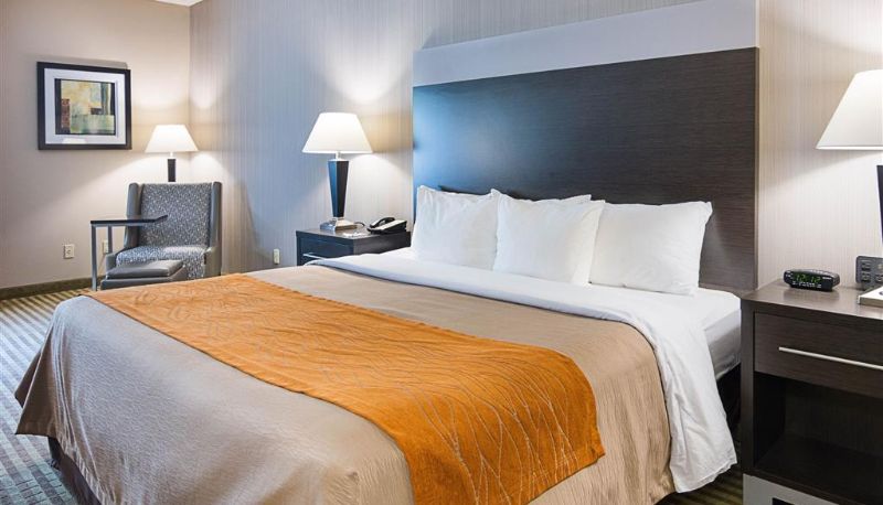 Zimmer - Comfort Inn Camden