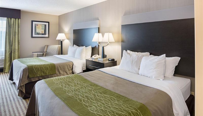 Zimmer - Comfort Inn Camden