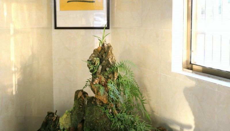Hotel Außenbreich - Jiuhuashan E-home Business Hotel