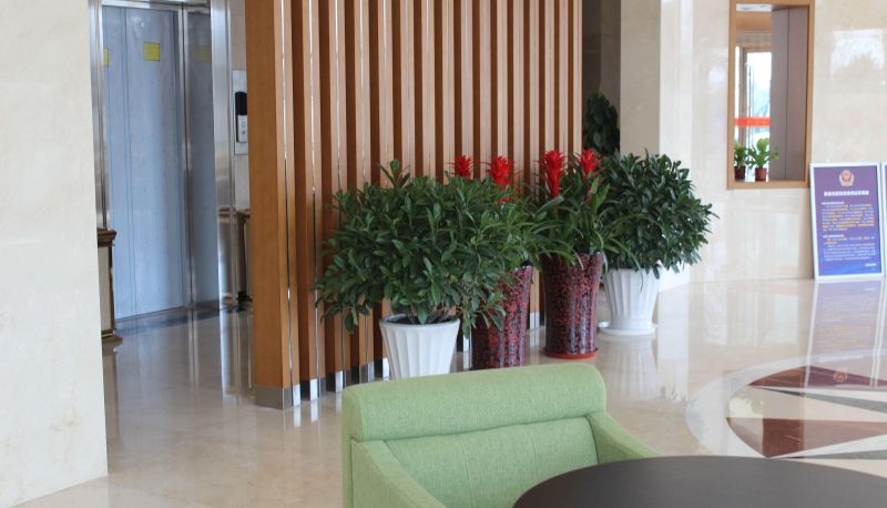 Area esterna dell'hotel - Maisui Hotel (Beijing Shiyuan Park Branch)