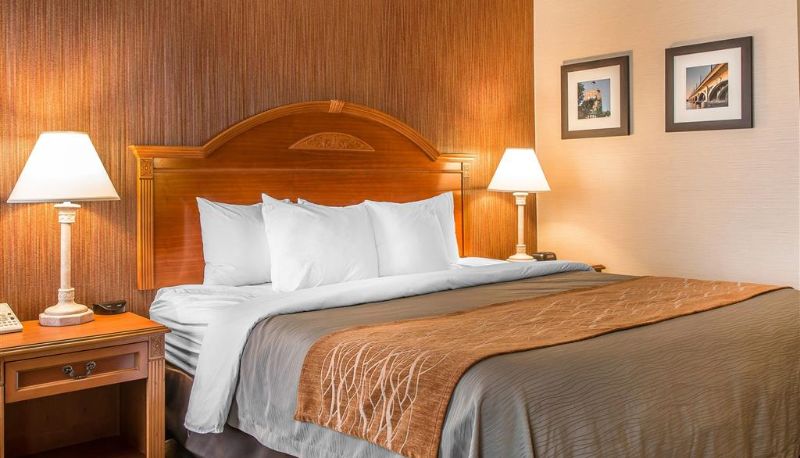 Room - Hampton Inn by Hilton Chelsea