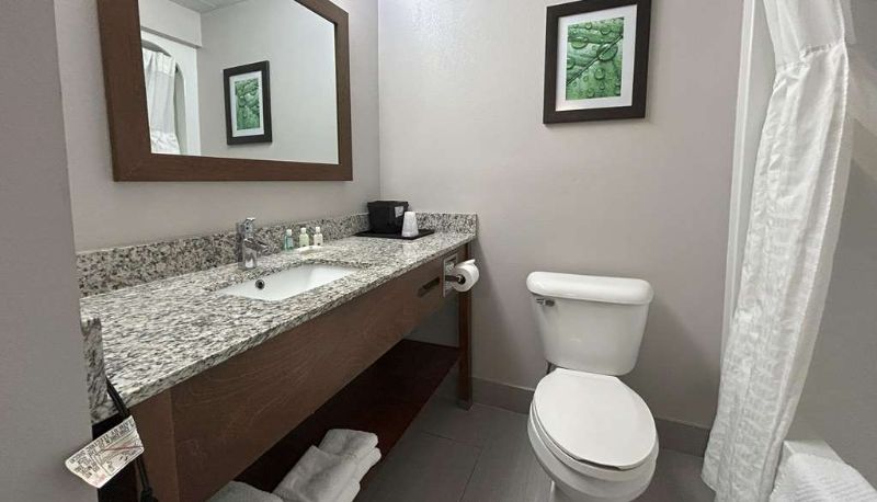 Zimmer - Quality Inn & Suites Tarboro - Kingsboro
