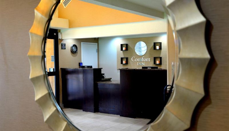 Lobby - Comfort Inn University Durham - Chapel Hill