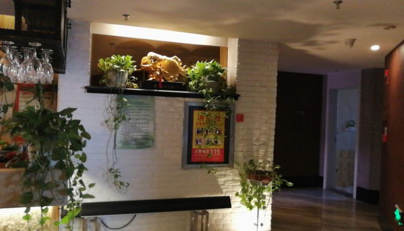 Hotel Außenbreich - Qiqi Art Hotel