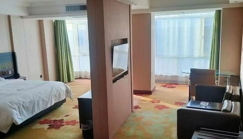 Suite - Tongjiang Songhuajiang International Hotel