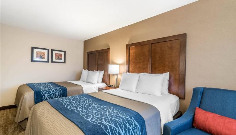 Pokój - Comfort Inn Concord South End