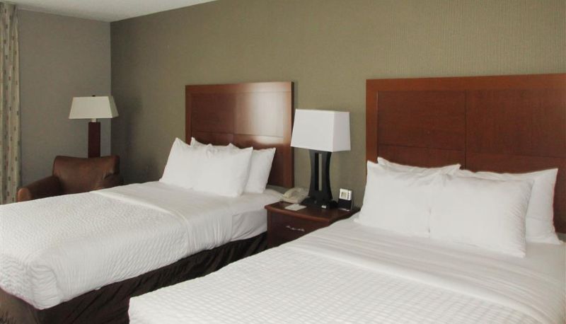 Room - Clarion Inn & Suites Cortland - University Area