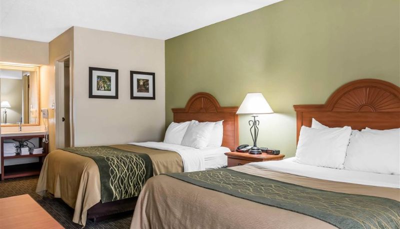 Habitación - Comfort Inn Pine Grove I-81 Hershey Area