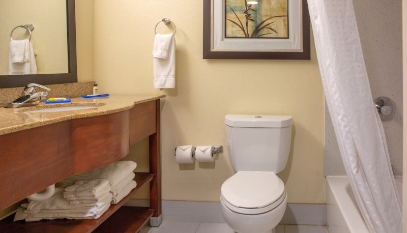 Daire - Holiday Inn Express HARRISBURG SW - MECHANICSBURG by IHG