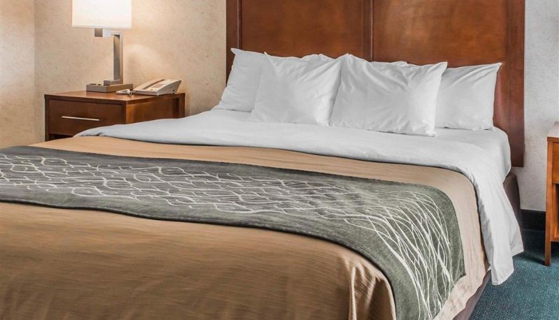 Zimmer - Quality Inn Waynesburg - Morrisville