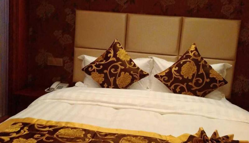Camera business - Qingzhou Business Hotel