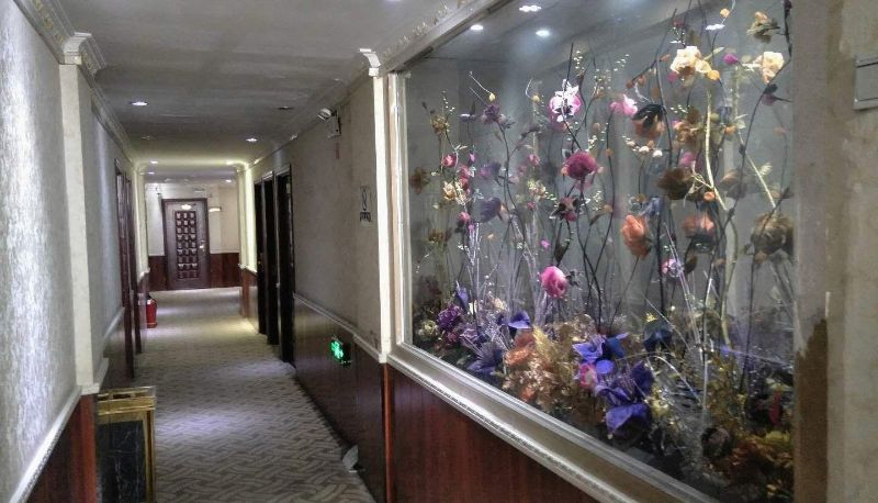 Hotel Außenbreich - Xinhuang Hotel