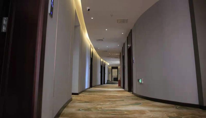 Zewnętrzna część hotelu - Tianyu Business Hotel