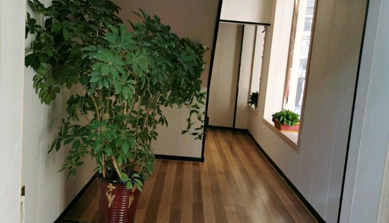 Hotel Außenbreich - Man Jianghong Business Hotel