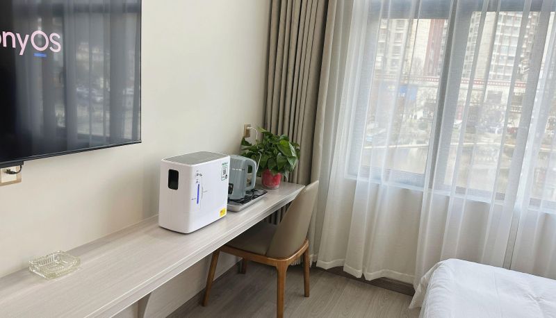 Camera con vista lago - Linzhi Lake View Elegant Residence
