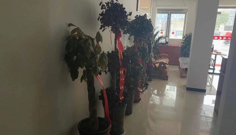 Zewnętrzna część hotelu - Tongcheng Yishuiju Hotel