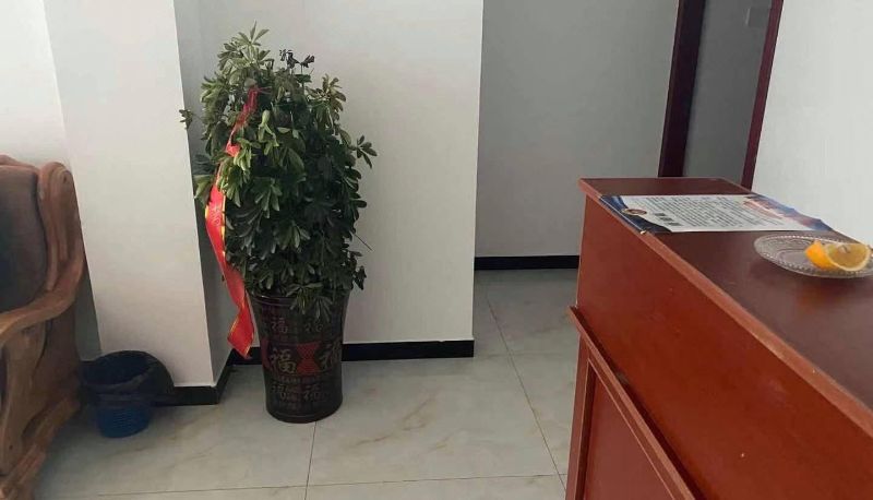 Zewnętrzna część hotelu - Tongcheng Yishuiju Hotel