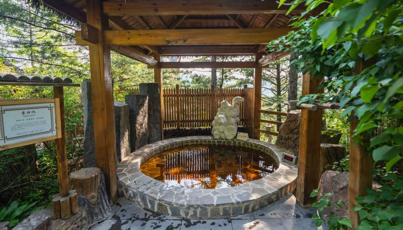 Area esterna dell'hotel - Changbai Mountain Tianmu Pengrui Hot Spring Hotel