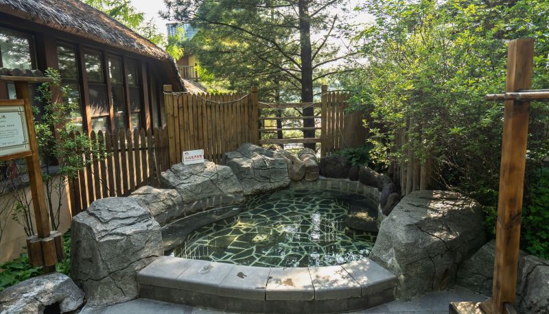 Area esterna dell'hotel - Changbai Mountain Tianmu Pengrui Hot Spring Hotel