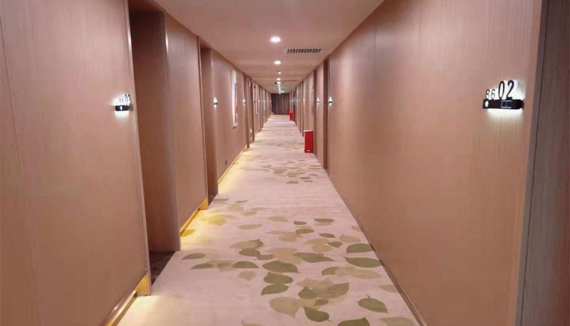 Area esterna dell'hotel - Greenhouse Business Hotel (Zero Kilometer Store in Yecheng County)