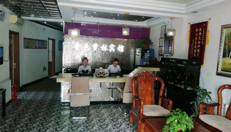 Area esterna dell'hotel - Harbin Golden Luolin Fashion Hotel