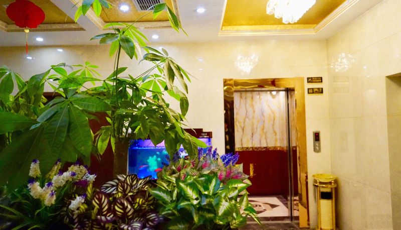 Area esterna dell'hotel - Wuhan Dingsheng Zhuoyi Hotel