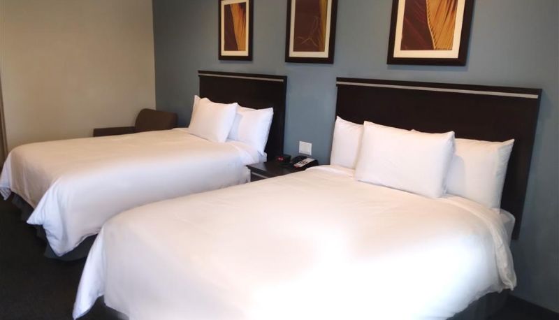 Pokój - SureStay by Best Western Chula Vista San Diego Bay