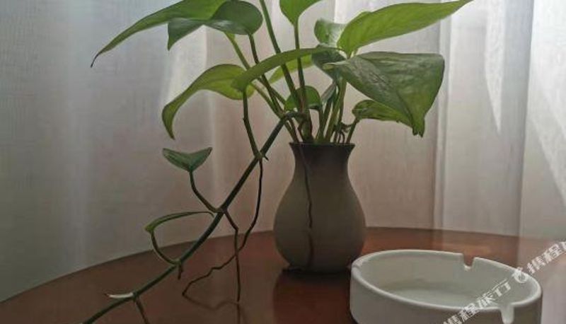 Innenbreich - Pengzhou Shanghang Hotel