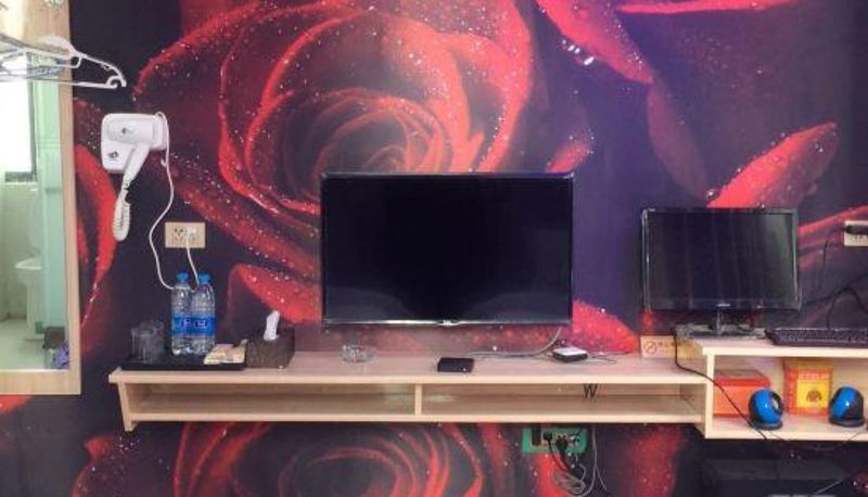 Habitación - Ziyun Rose Theme Hotel